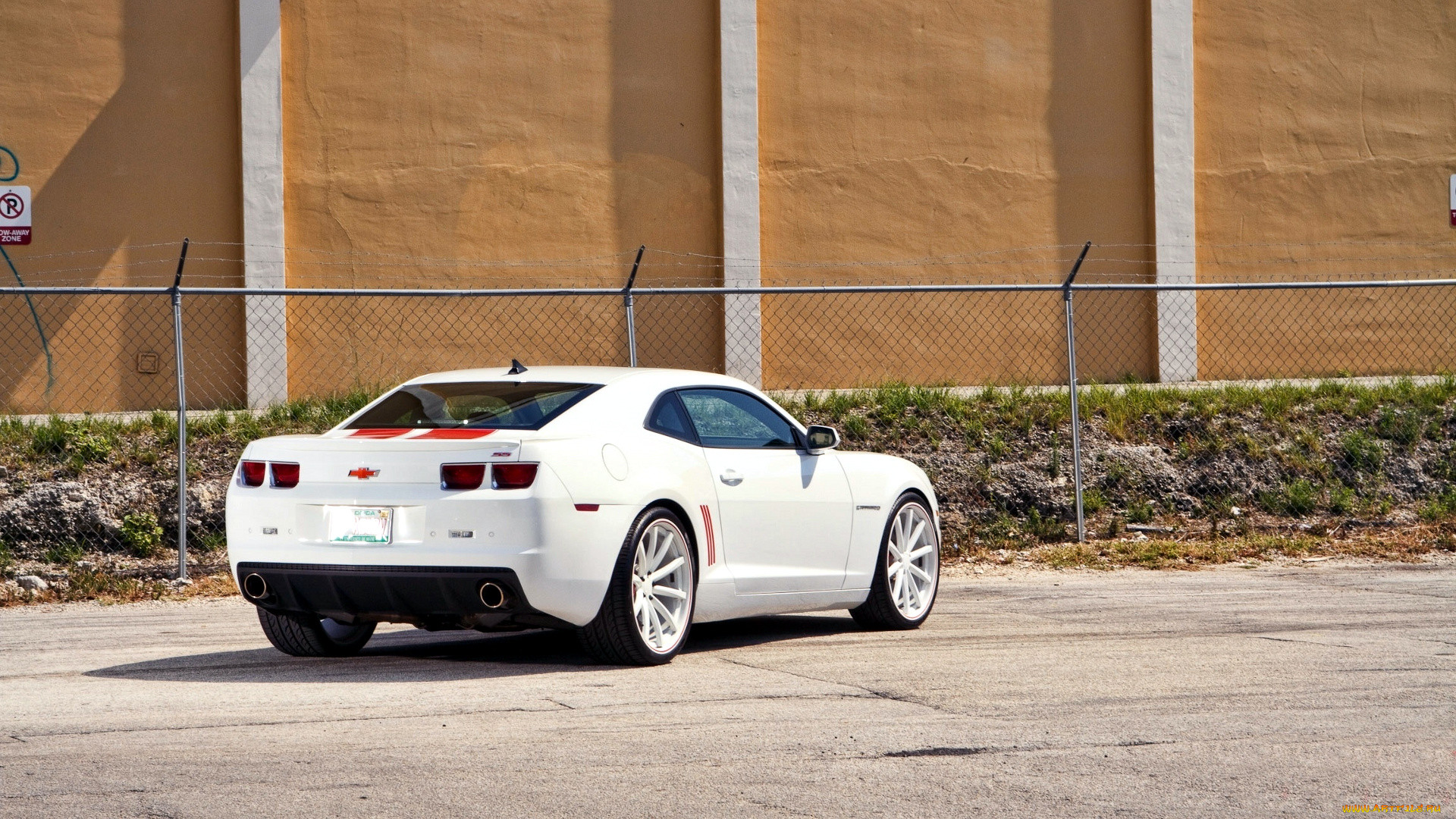 chevrolet, camaro, , , gm, division